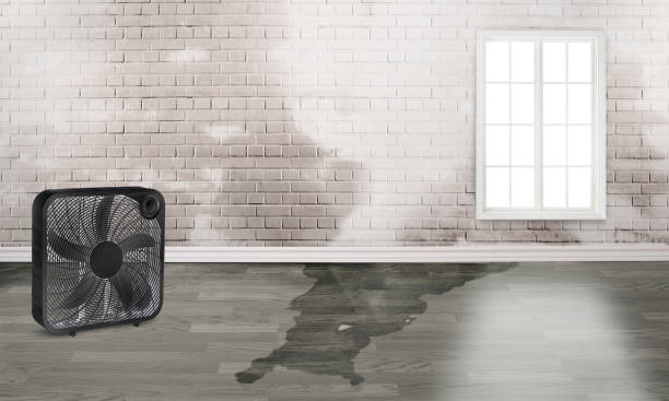 Trusted NE Water damage restoration Experts