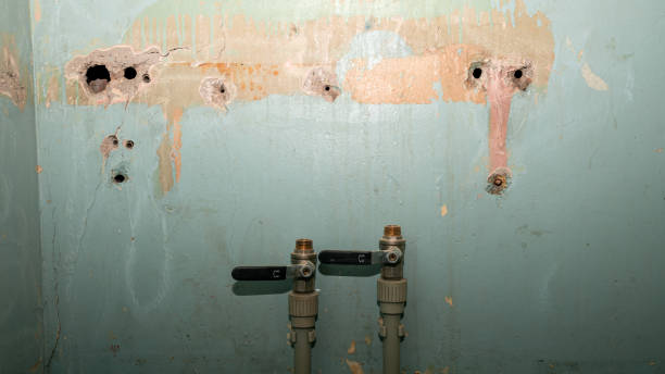 Best Flood damage cleanup  in Hooper, NE